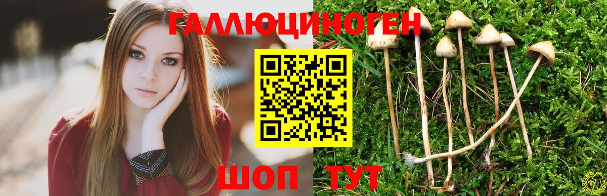 Псилоцибиновые грибы прущие грибы  Вход с VPN  хочу наркоту  Кандалакша 