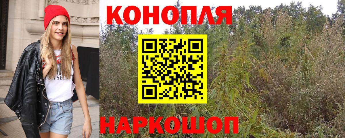 Каннабис конопля Кандалакша